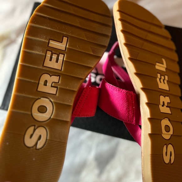 Beautiful - Picture 3 of 3